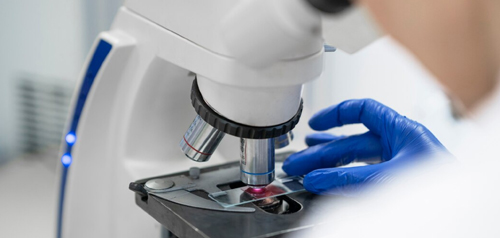 Laboratory technician examining a sample under a microscope at Gosford Doctors pathology service
